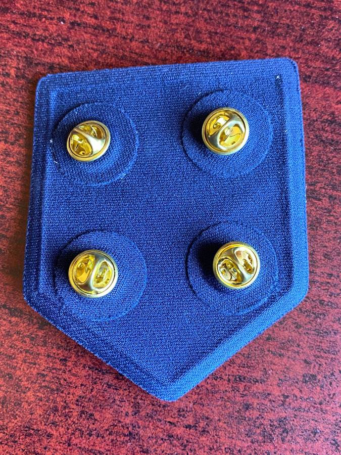 NAMIBIAN POLICE RANK BADGE