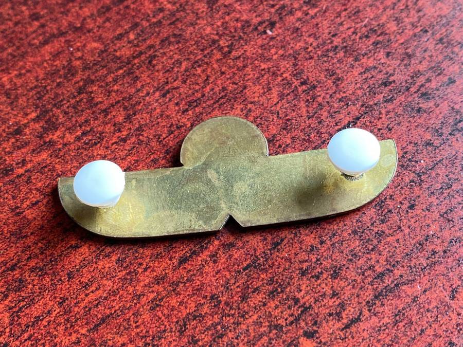 CISKEI SPECIAL FORCES FREE FALL QUALIFICATION WING- 2 PINS