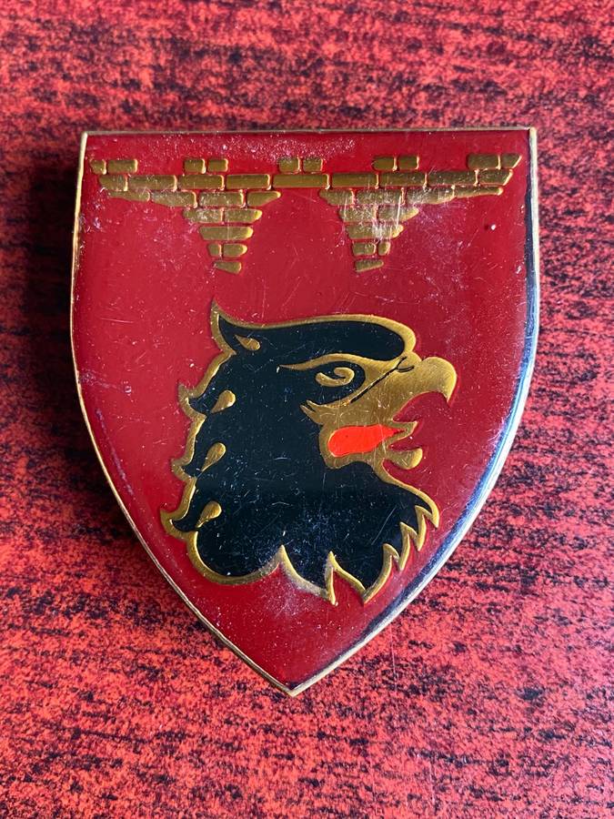 44 PARA BDE ENGINEERS SQUADRON FLASH- 3 PINS