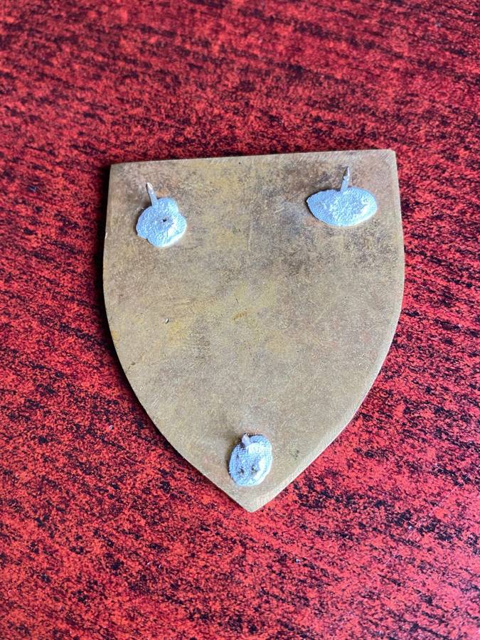 4 PARA BRIGADE SIGNAL UNIT FLASH- 3 PINS