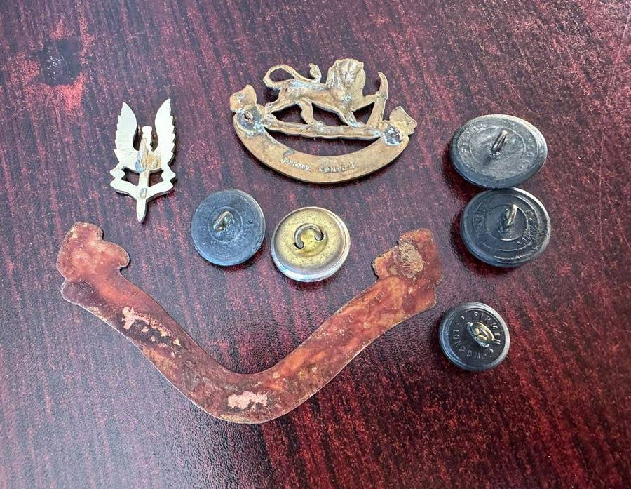 Mixed Rhodesian lot.