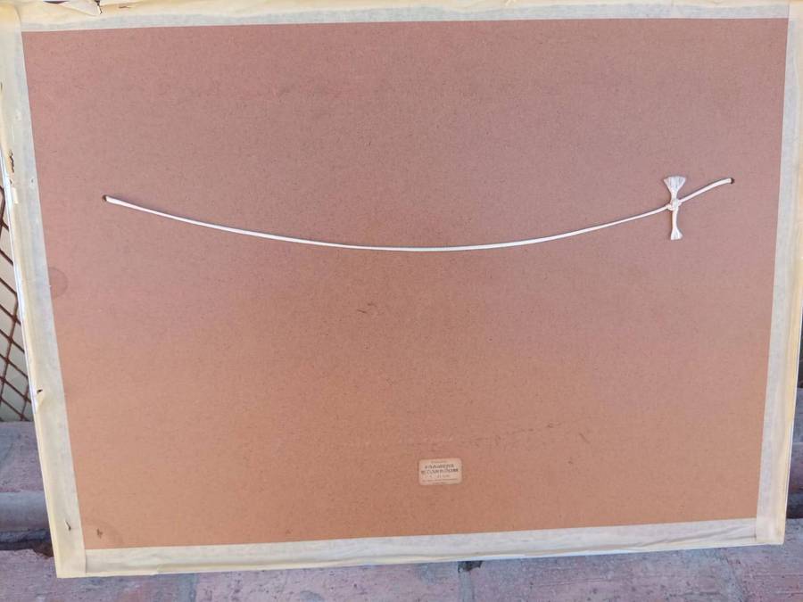 SAR TRAIN PICTURE LOCOMOTIVE ENGINE NO2959