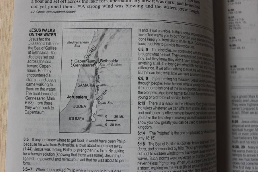LIFE APPLICATION BIBLE. New International Version.