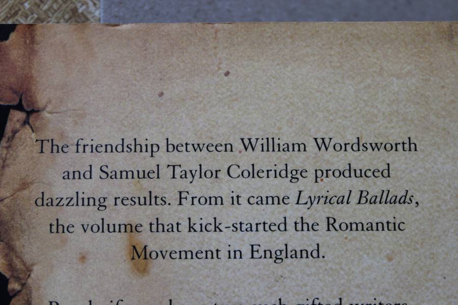 THE FRIENDSHIP by Adam Sisman (The friendship beween Wordsworth and Coleridge - both poets)