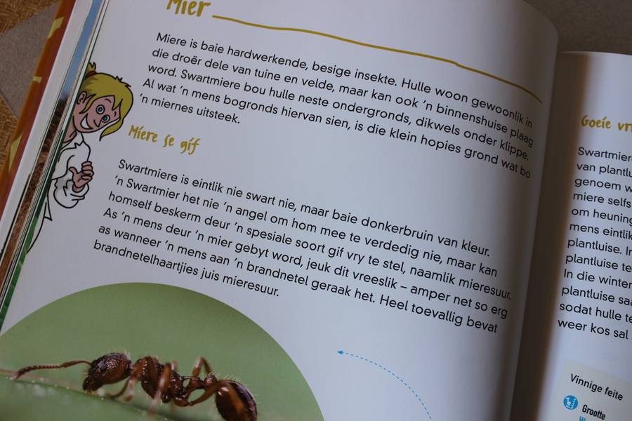 ONTDEK DIE DIERERYK  Uit Duits vertaal deur Amelia de Vaal