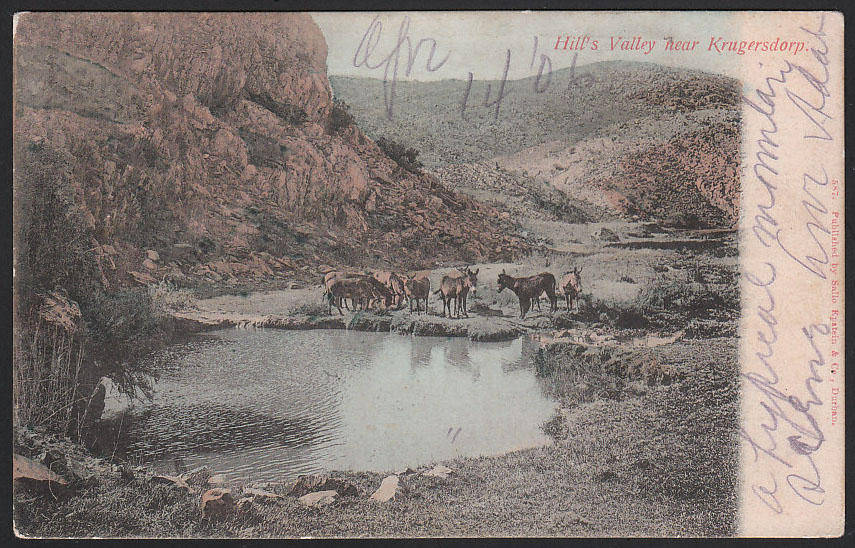 TRANSVAAL 1906 VERY FINE BOXED 'POSTED TOO LATE 1' ON POSTCARD FROM JOHANNESBURH TO USA