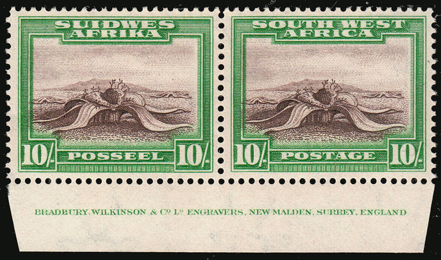 SWA 1931 WELWITSCHIA PLANT 10s PERF UP IMPRINT PAIR VERY FINE MNH. SACC 113a R4500