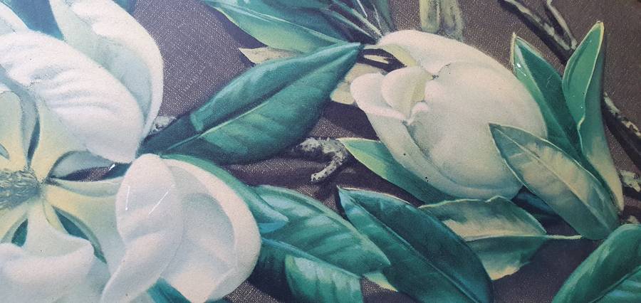 Vintage framed TRETCHIKOFF print as per photo