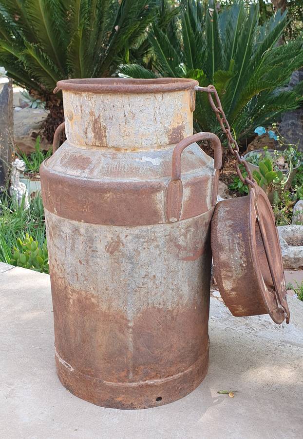 Vintage rusted milk can for garden or display as per photos