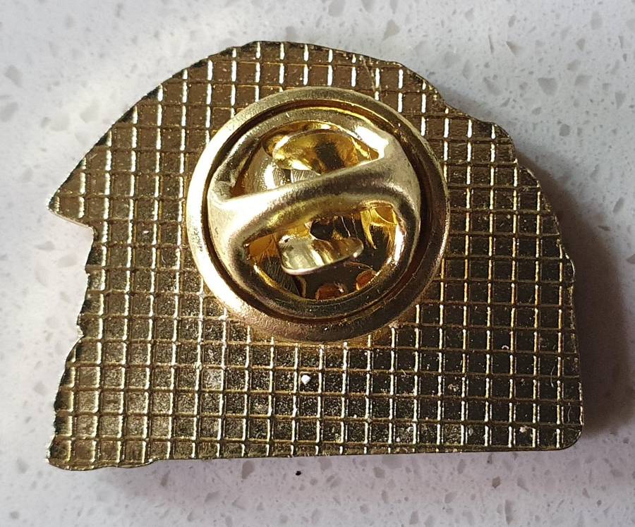 SKAGWAY ALASKA TRAVELING PIN as per photo