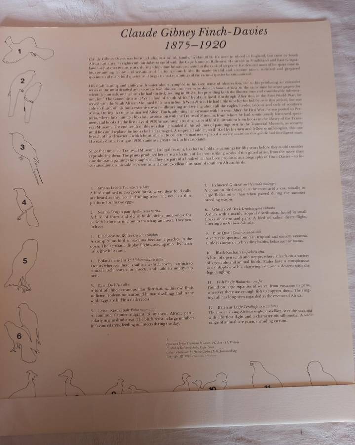 Claude Gibney Finch-Davis 1875-1920, Observer, student and highly skilled illustrator