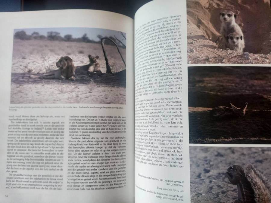 Die Namib en die Kalahari, Dorslande van Suider-Afrika