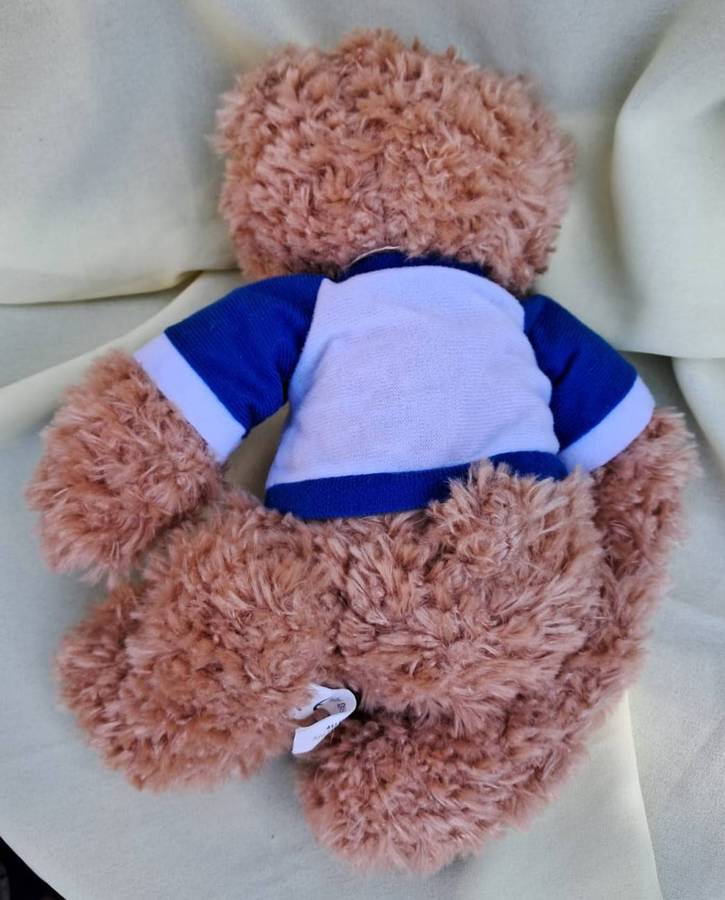 Plush Promotional Bear - Kurk Klinik Sellin