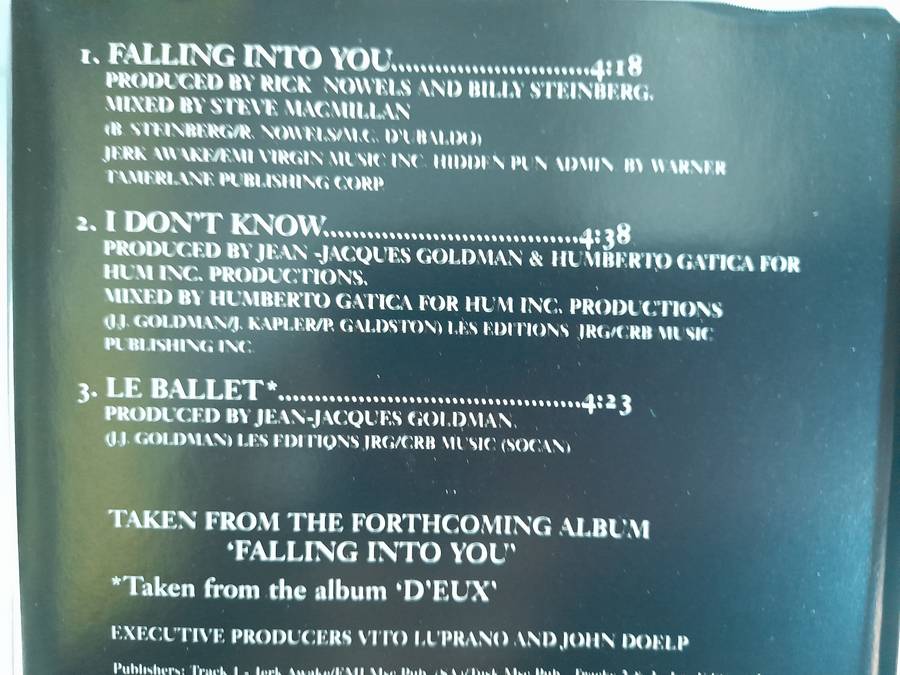 Celine Dion - Falling Into You (Single)