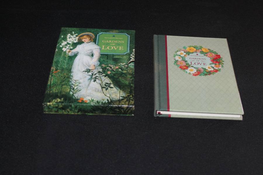 Victoria's Secret 3 books