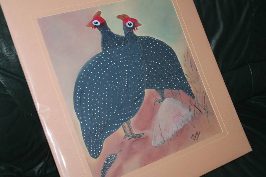 Large Picture of Guiney Fowls