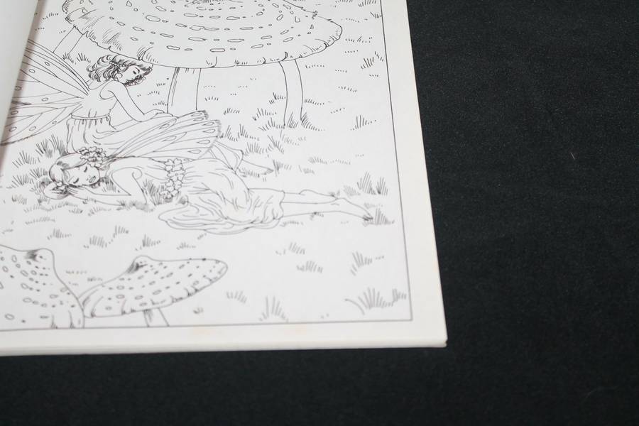 Alice Blueberry's Fairy Colouring Book Adult