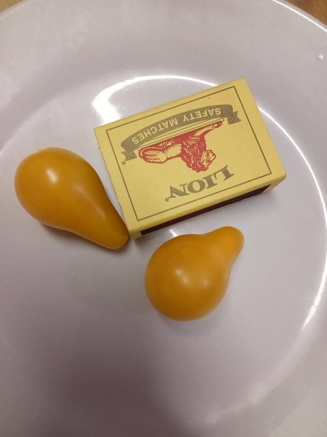 Tomato Seeds Yellow Pear 20 Heirloom Tomato Seeds