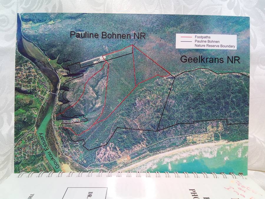 Pauline Bohnen Nature reserve Photographic guide (Stillbay area)