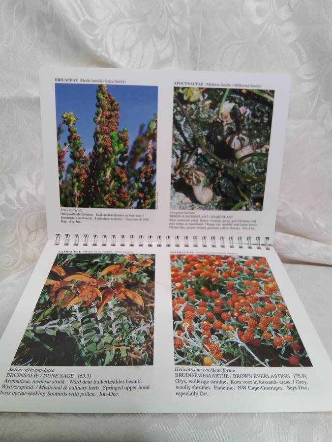 Pauline Bohnen Nature reserve Photographic guide (Stillbay area)