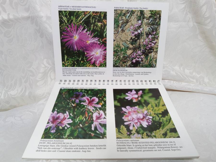 Pauline Bohnen Nature reserve Photographic guide (Stillbay area)