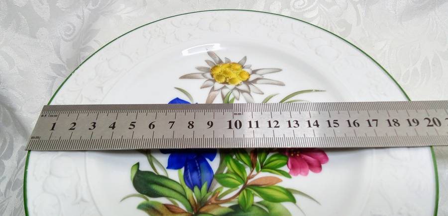 Gorgeous E&A Böckling Neudenau hand painted wall plate with lovely embossed edge