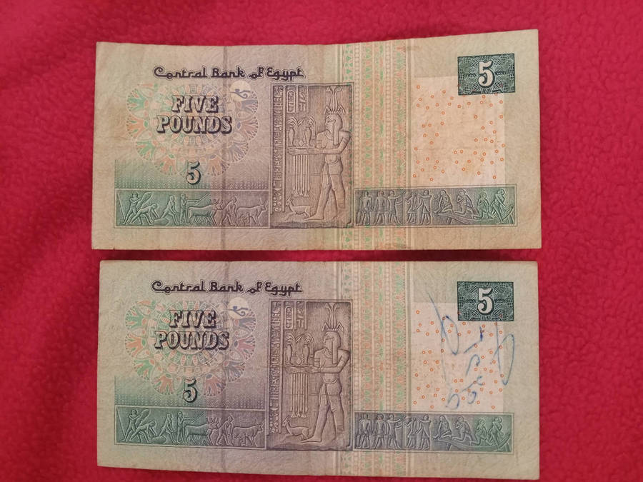 Egypt Pound Notes
