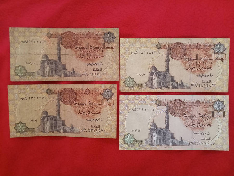 Egypt Pound Notes