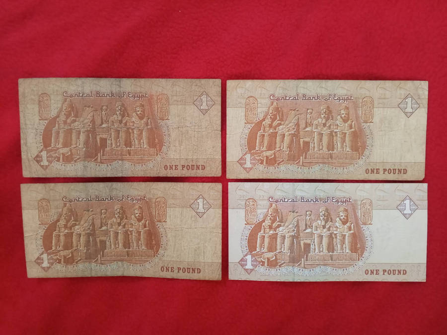 Egypt Pound Notes