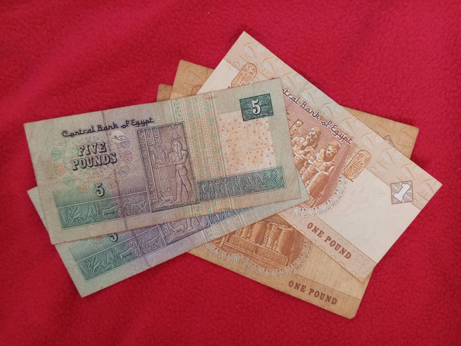 Egypt Pound Notes