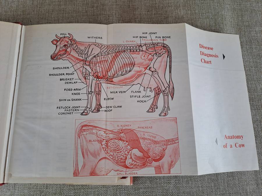 Dairy Farmer's Veterinary Book - Norman Barron