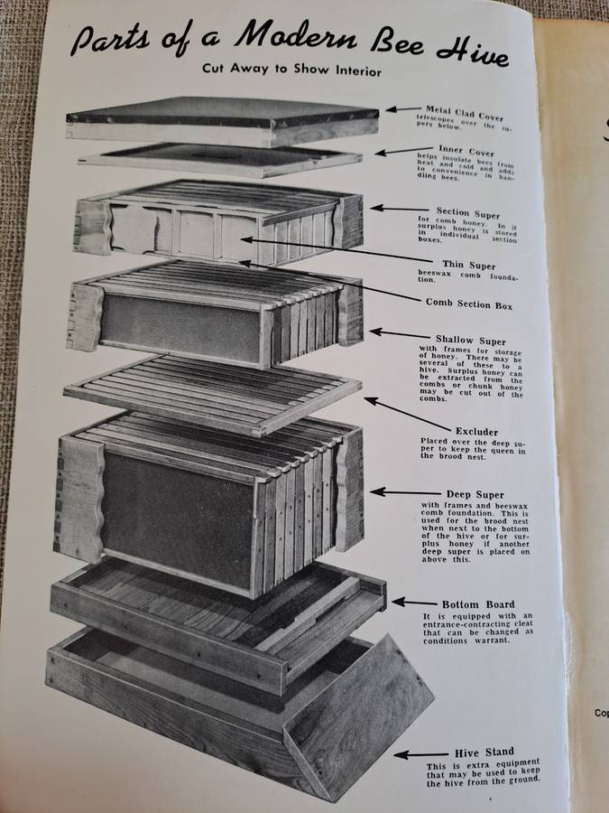 Starting Right With Bees  A Beginners Handbook on Beekeeping