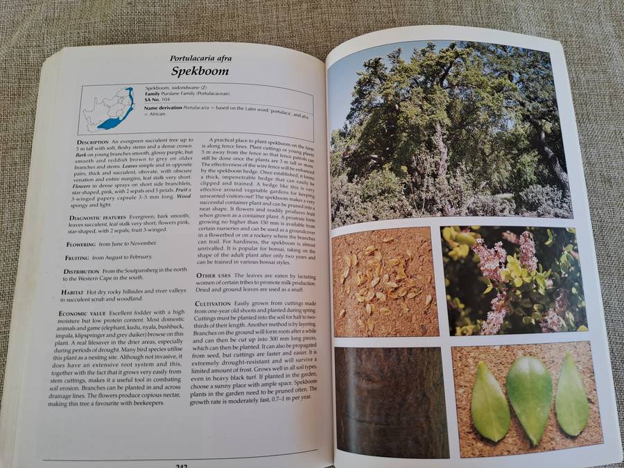 Making the most of Indigenous Trees - Fanie & Julye-Ann Venter