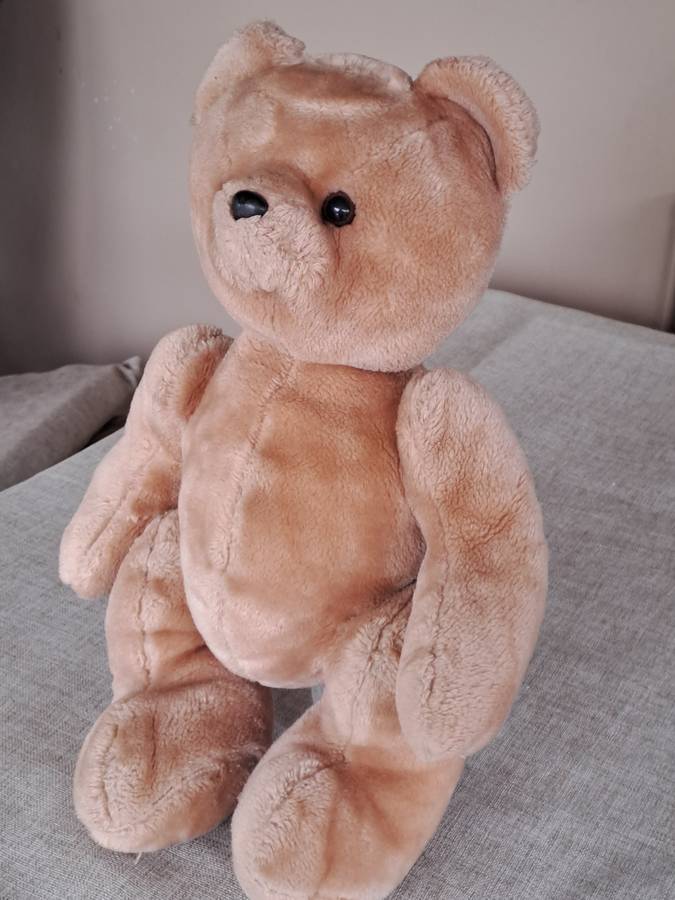 Plush Brown Bear