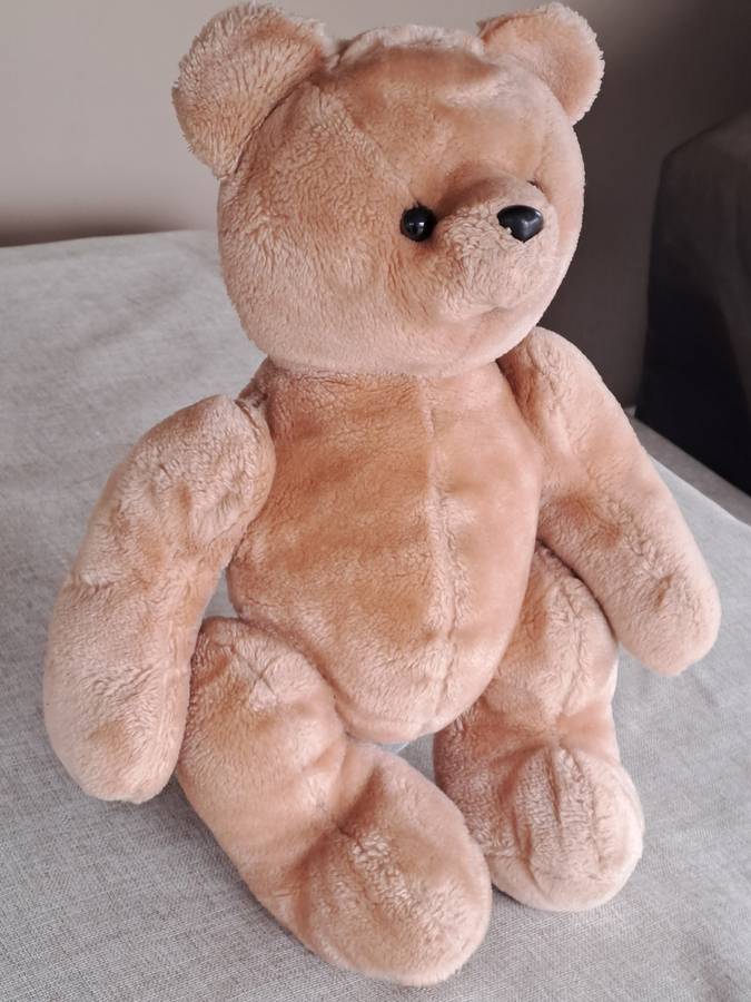 Plush Brown Bear
