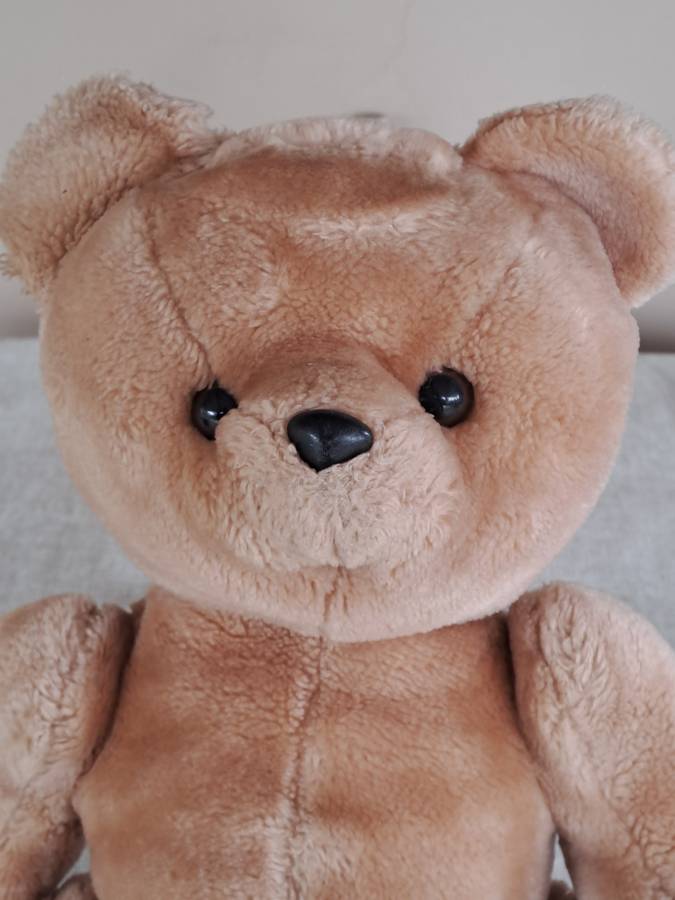 Plush Brown Bear