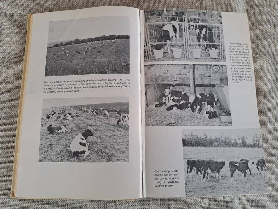 The Herdsman's Book