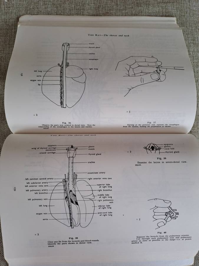 Guide to Dissection - HGQ Rowett