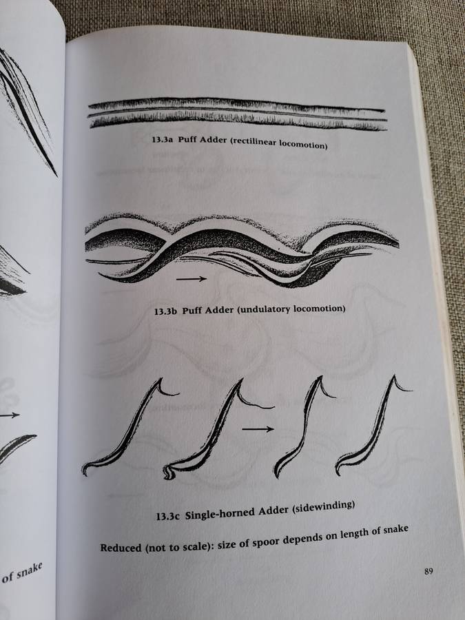 A Field Guide to the Animal Tracks of Southern Africa - Louis Liebenberg