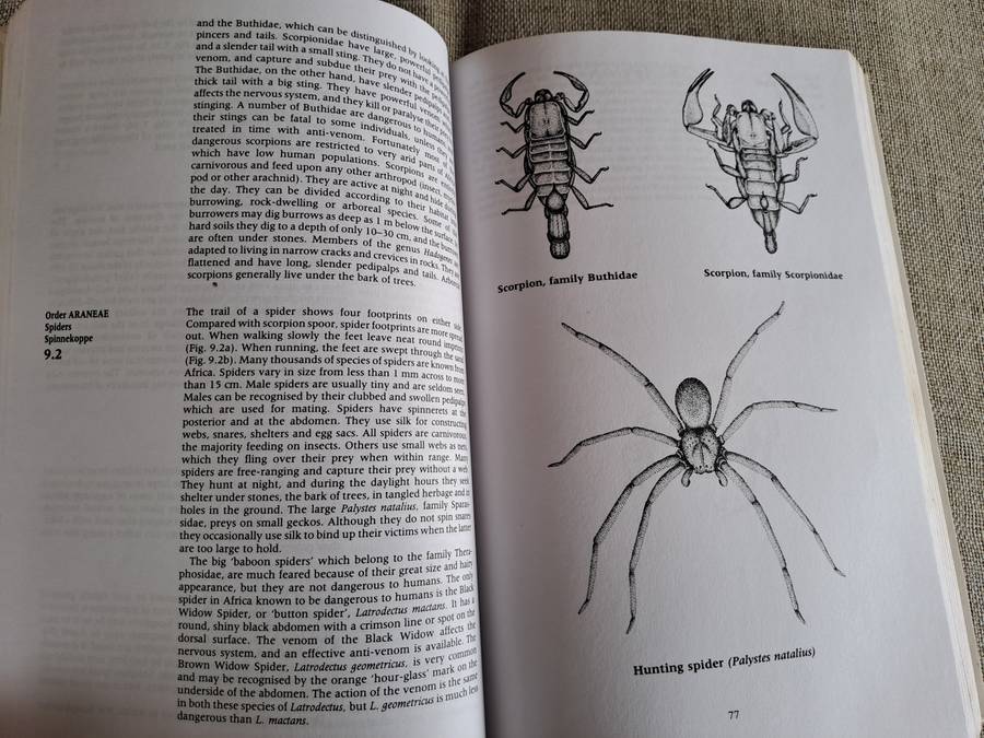 A Field Guide to the Animal Tracks of Southern Africa - Louis Liebenberg