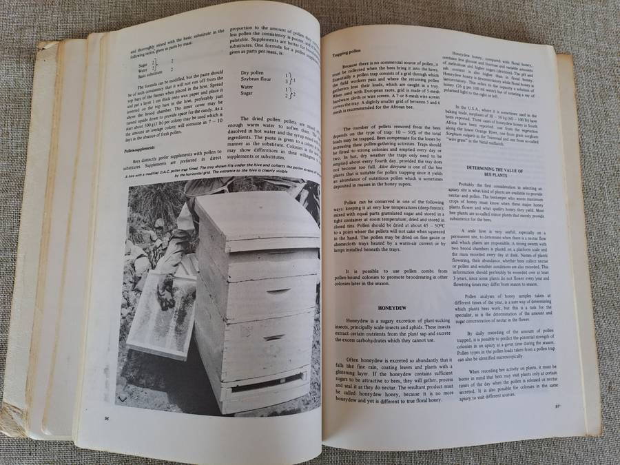 Beekeeping in South Africa  Bulletin No. 394