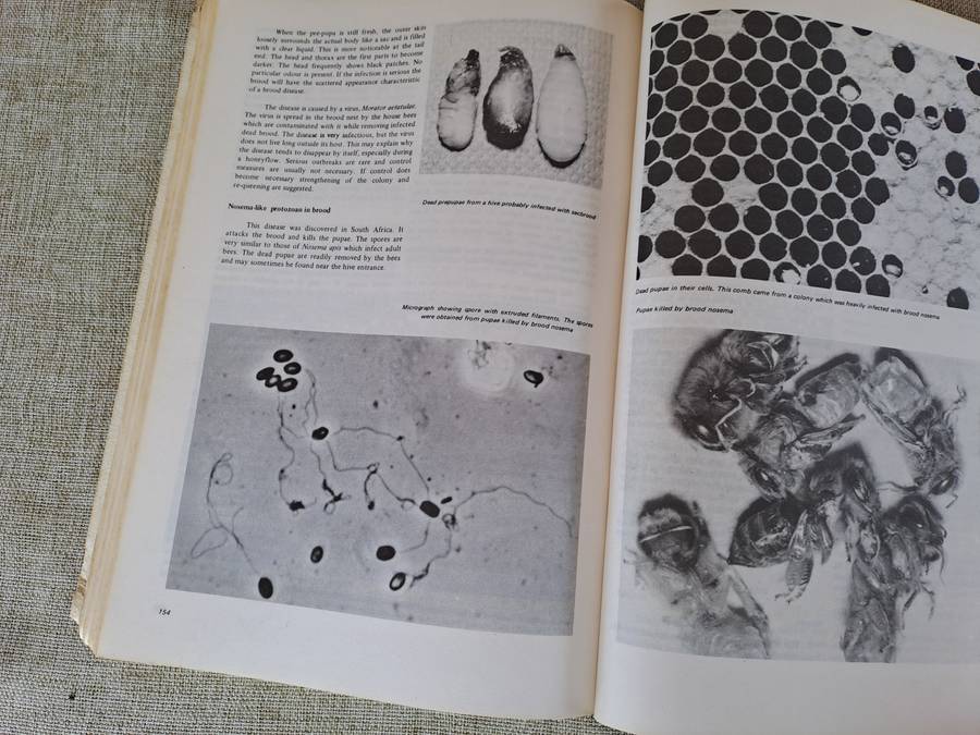 Beekeeping in South Africa  Bulletin No. 394