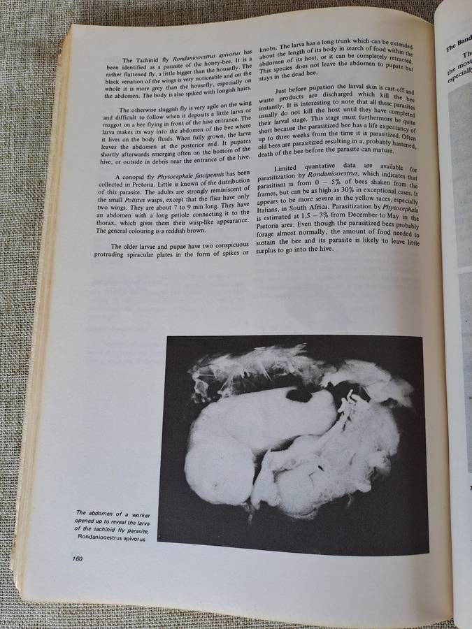 Beekeeping in South Africa  Bulletin No. 394