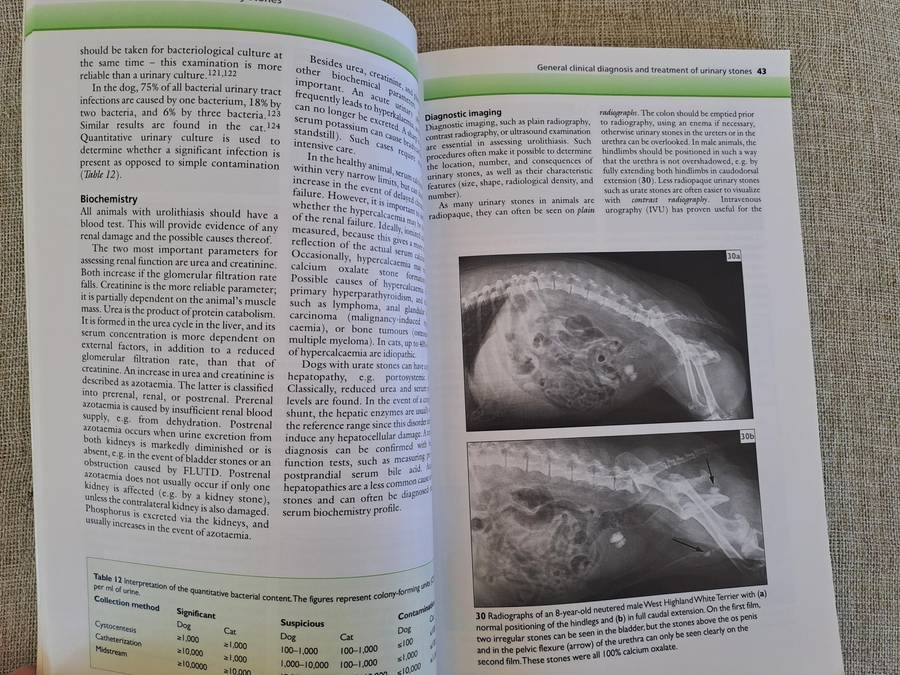 Urinary Stones in Small Animal Medicine: A Colour Handbook