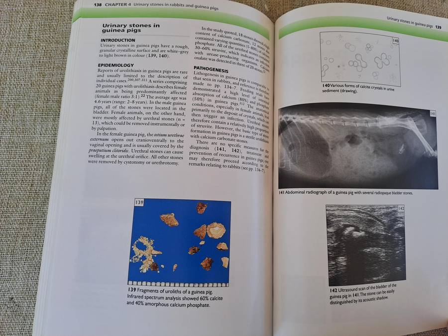 Urinary Stones in Small Animal Medicine: A Colour Handbook
