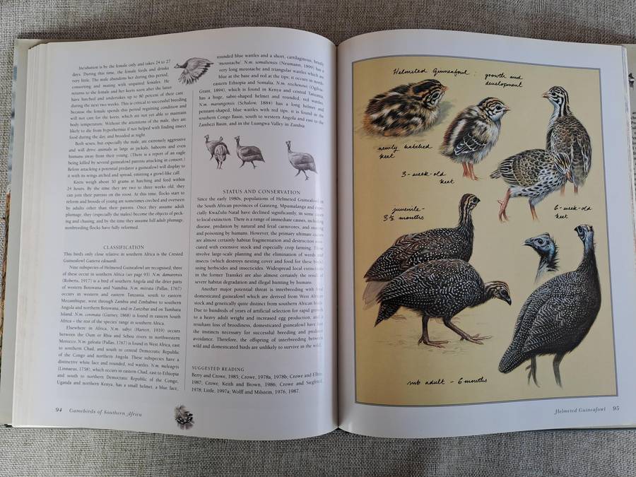 Gamebirds of Southern Africa - Rob Little, Time Crowe, Simon Barlow