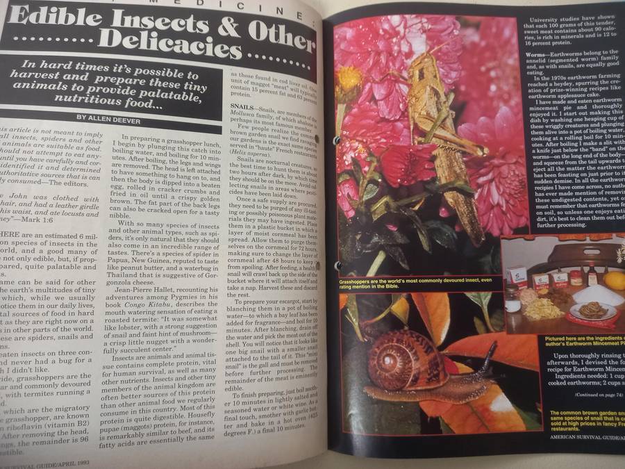 American Survival Guide - the magazine of self reliance - April 1993