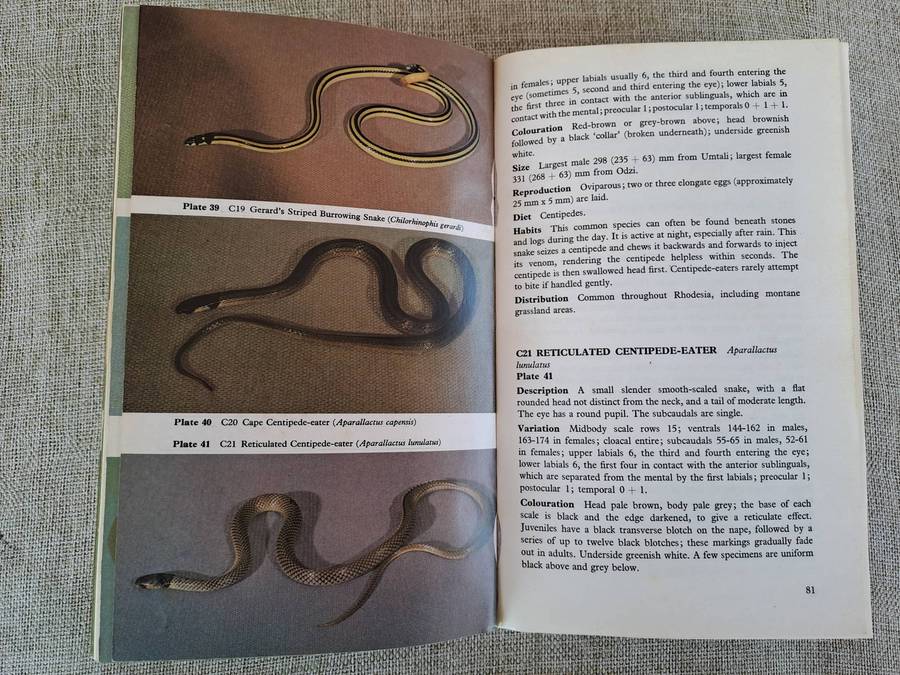 Snakes of Rhodesia  Bundu Series
