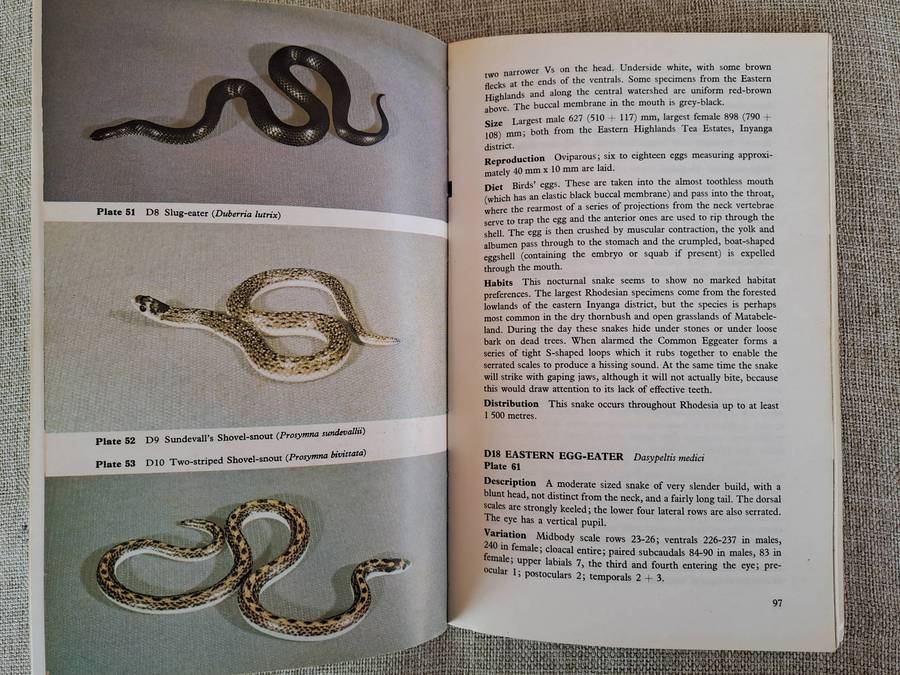 Snakes of Rhodesia  Bundu Series
