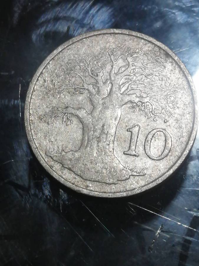 Zimbabwe 10c  1991